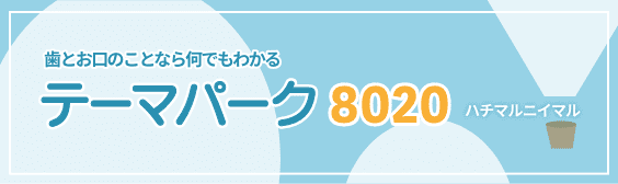 テーマパーク8020